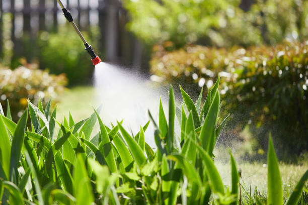 24/7 Emergency Ant Control experts in Highland, IL