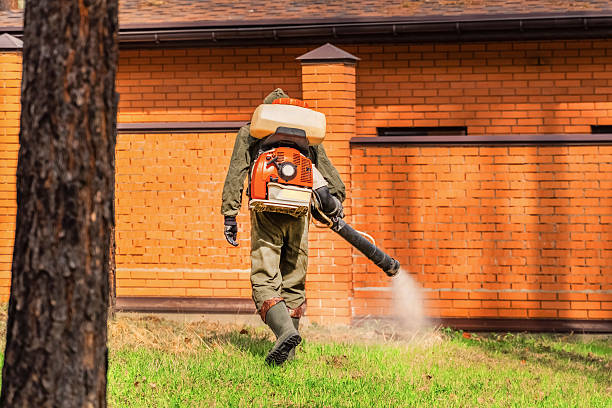 Trusted Termite Control service in Highland, IL - Nex Pest Control